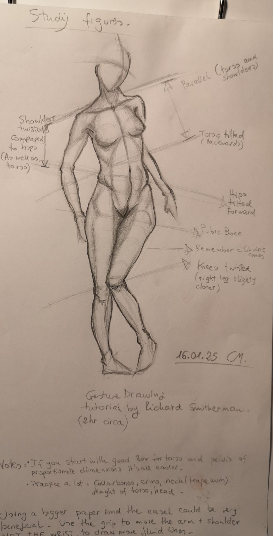 FIGURE-STUDY