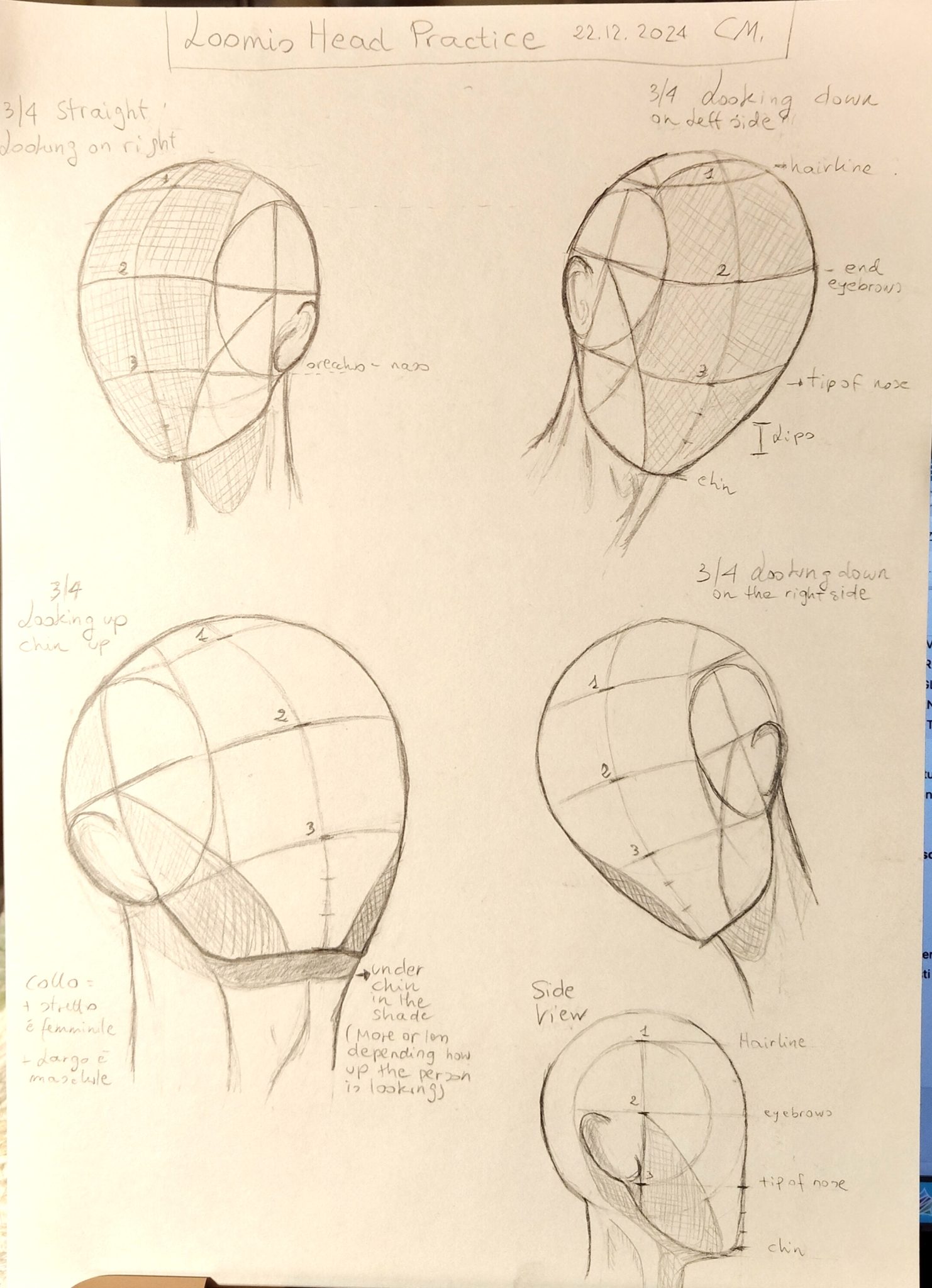 LOOMIS-METHOD-DRAWING-HEADS