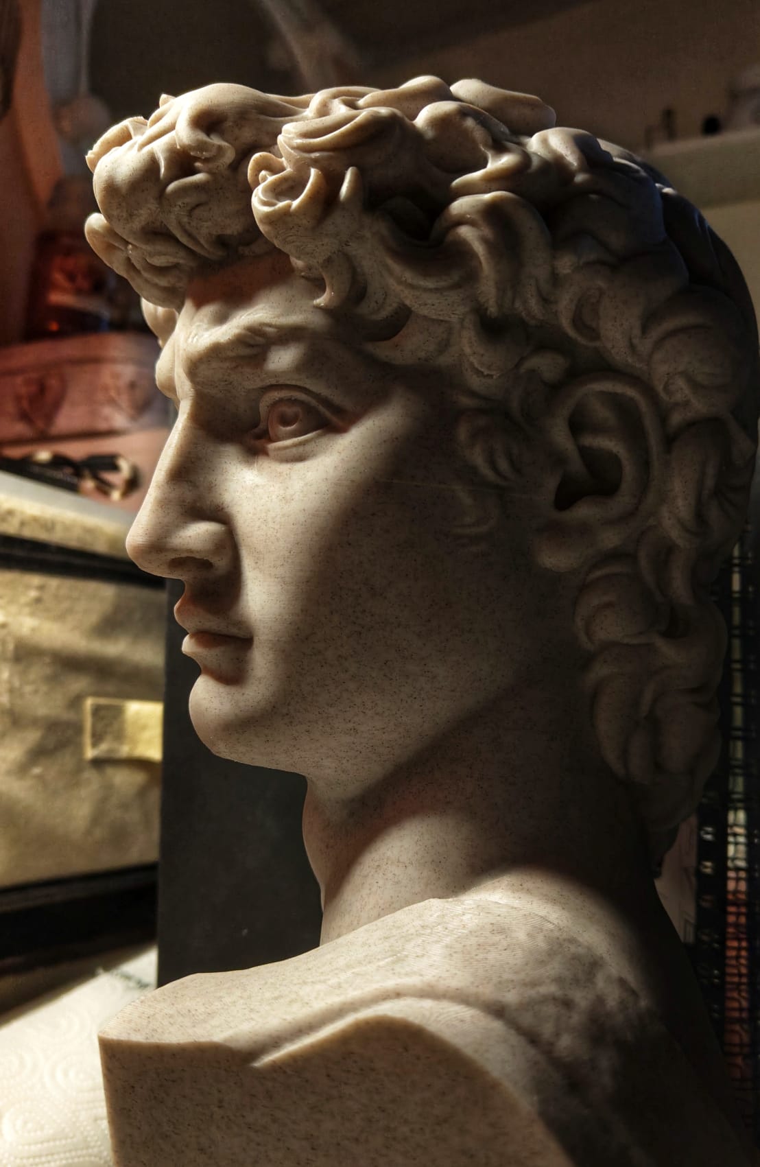 MICHELAMGELO-DAVID-STATUE-HEAD-FOR ACADEMY-STUDIES